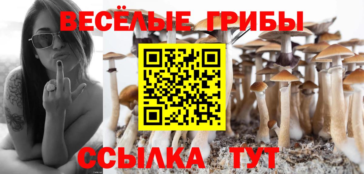 Псилоцибиновые грибы Magic Shrooms Сланцы