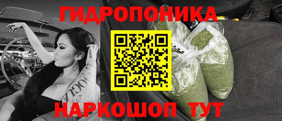Шишки марихуана марихуана Сланцы